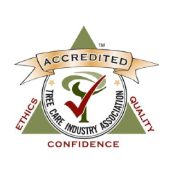 Accredited Tree Care Industry Association logo