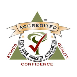 Accredited Tree Care Industry Association logo