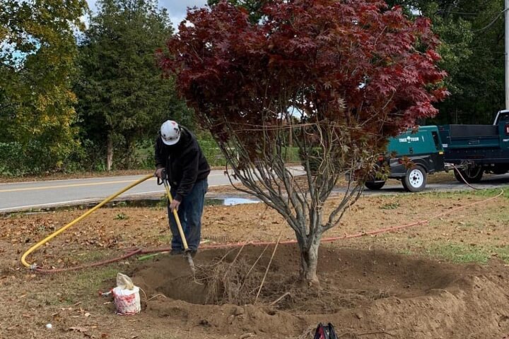 Arborist using an AirSapde and its compressed air process to gently and carefully loosen and remove compacted dirt.