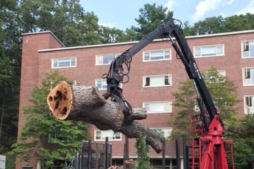 A grapple truck lifting a tree log away from a commercial property