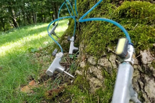 Tree receiving deep root fertilization treatment