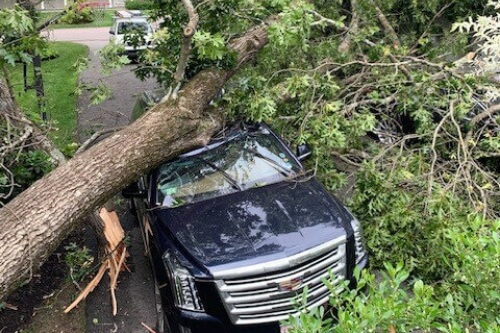 Large tree that has fallen on top of a Sports Utility Vehicle that was parked