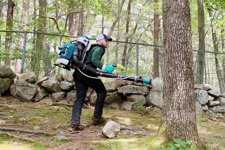 Tree Tech Arborist spraying a tree with a Mosquito fogger