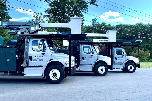 Tree Tech bucket trucks parked next to each other in a parking lot