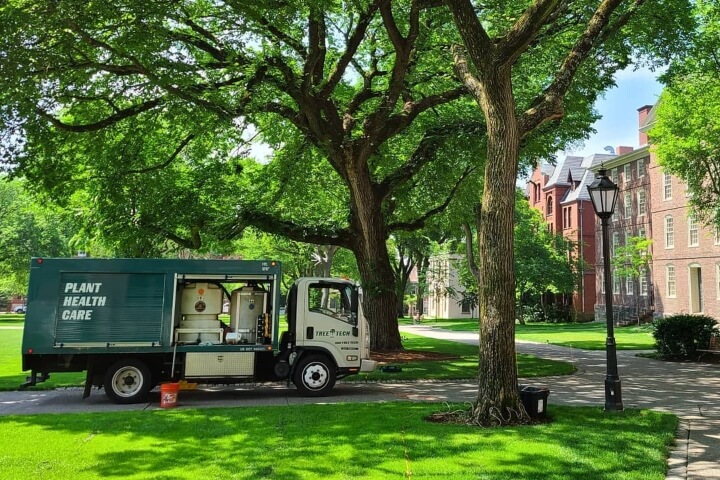 Tree Tech service truck stationed outside a University