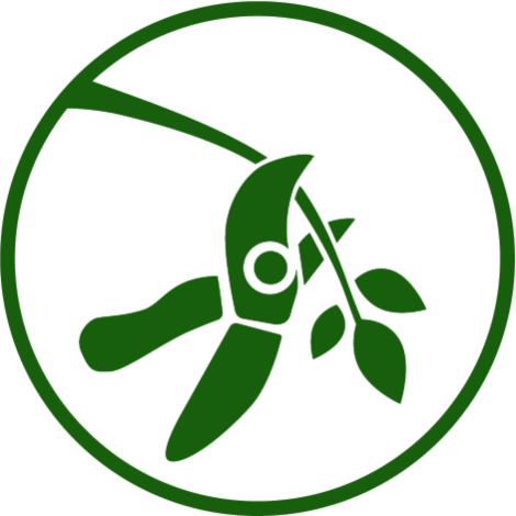 Tree pruning icon
