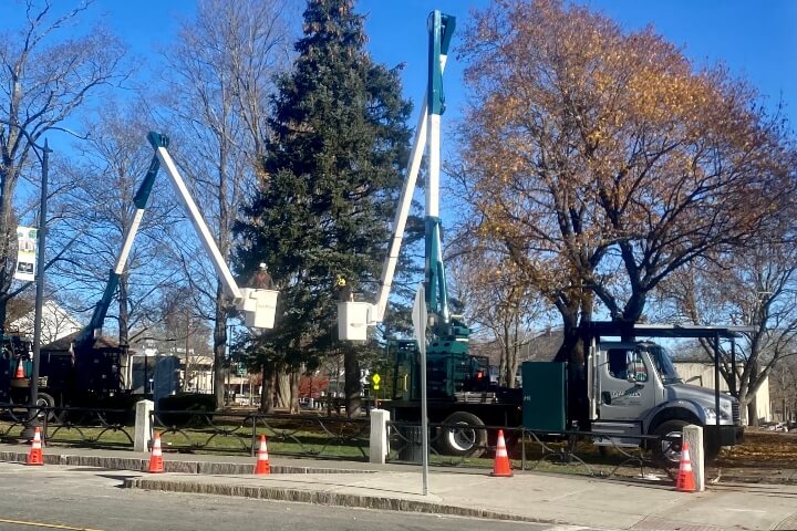 Two Tree Tech bucket trucks in service performing utility tree care