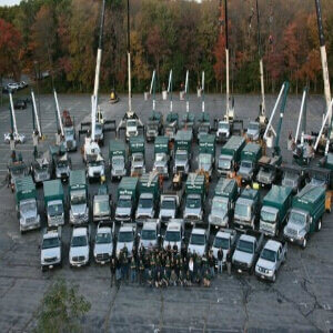 Rows of several Tree Tech service vehicles