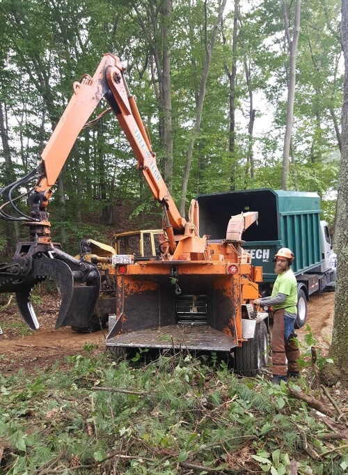 Arborist operating a wood chipper to get rid of several tree branches