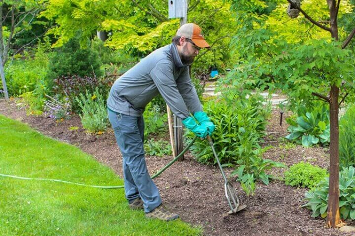 Tree Tech arborist doing maintenance on a residential garden