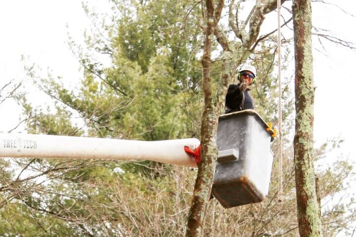 Tree Tech arborist in the bucket of a bucket truck, looking down smiling with his thumbs up