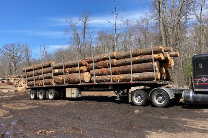Log truck hauling several cut down tree logs