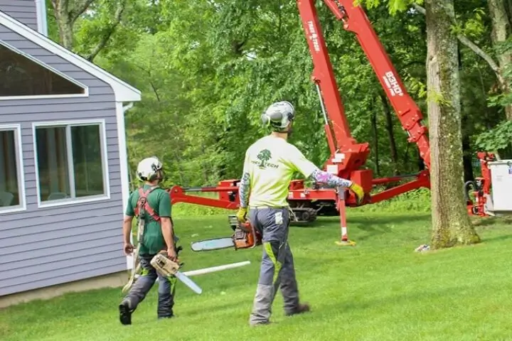 Professional arborists from Tree Tech in Eastern Massachusetts and Rhode Island