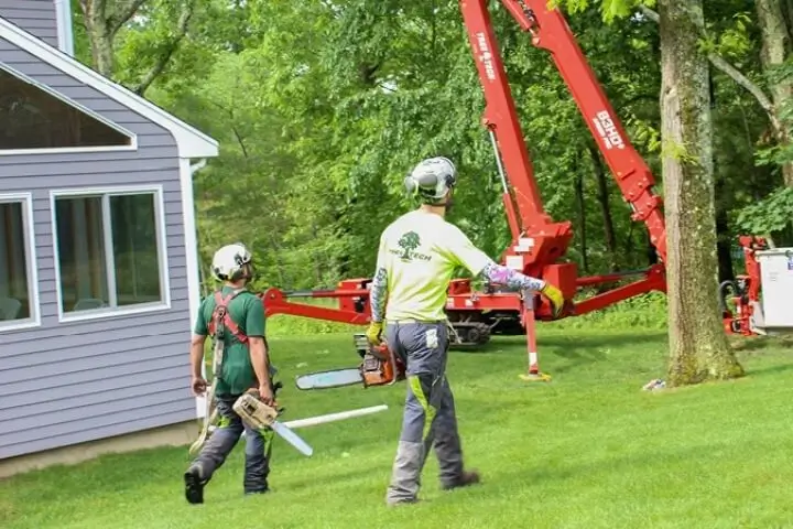 Professional arborists from Tree Tech Inc. | Serving Eastern Massachusetts and Rhode Island